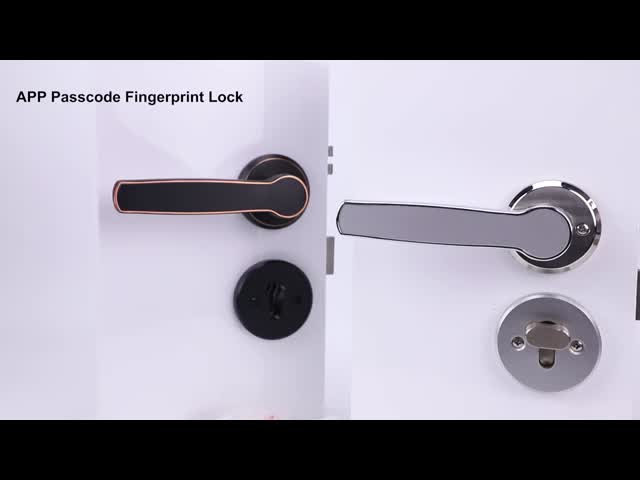 TTLock 電子コードロック リモコン制御 WIFI ブルーツepo_Latn制御ロック