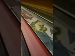 Высококачественная электронная голова машины жаккарда тени жаккарда стальная пластиковая электронная video