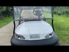 ЭСКАР 48В 4 усаживает электрическим логотип патруля патрульной машины электрическим подгонянный кораблем video