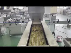 Машина для подсчета гранул и капсул для небольших лабораторий video