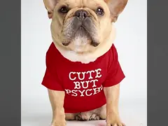 ODM вполне Handcraft шить футболка любимца хлопка с напечатанными именами video