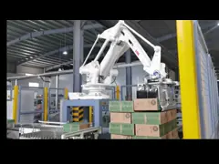 - Het is de eerste keer dat ik een robot heb gezien.