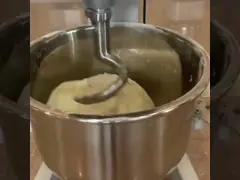Professional Food Mixer kneading dough
