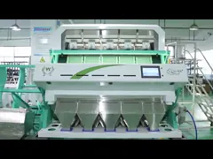 Кофейные зерна цены по прейскуранту завода-изготовителя оптовые красят машину сортировщицы для сортировщицы риса камеры Тошиба сортируя машины фасоли небольшой video