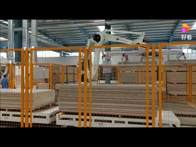 Робот-палетизатор CP180L 4 оси Роботизированная рука для автоматизации палетизации как палетизирующий робот видео