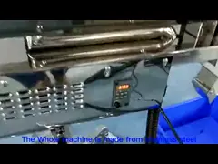 Фармация использует тип ПК одиночной фазы полируя машины 4000 капсулы/минуту video