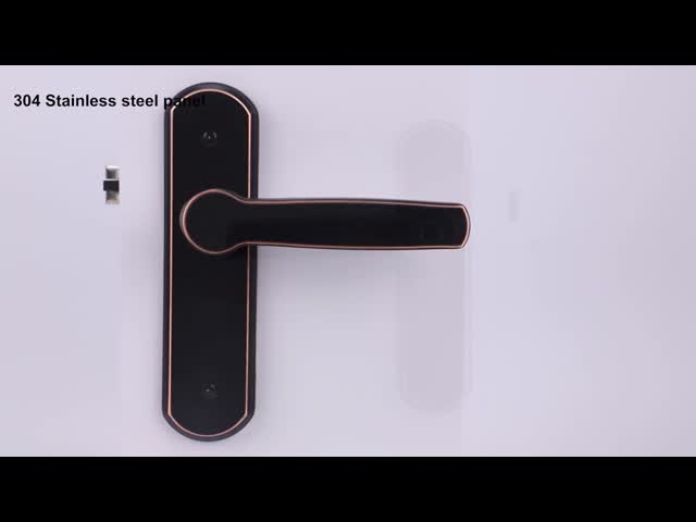 ROHS Умный отпечаток пальца Блютуз Дверный замок AI Голос Цинковая Сплавная ручка видео