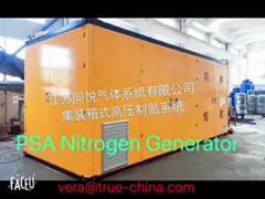 China Producing Gas Plant 0.5kw 50HZ Modular Nitrogen Generator PSA supplier