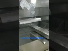 Автоматический 5 тип оружия брызг робота картины 1500mm брызг оси покрывая video