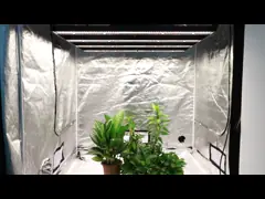 СИД приведенное прокладки 800W 730nm значительно красное растет УЛЬТРАФИОЛЕТОВЫЙ Samsung СИД растет светлая Адвокатура video