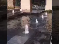 80 L/M инжекторная трубка фонтана танцев 1 дюйма с лампой video