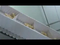 Dimpled машина еды Multihead ведра веся промышленная video