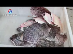 Машинное оборудование еды машины извлечения рыб промышленной нержавеющей стали электрическое video