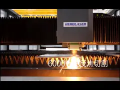 сила автомата для резки 12kw лазера волокна CNC 100m/min для металлического листа video