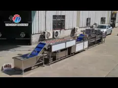 Машина 1500KG/H пузыря ролика шерстей фрукта и овоща очищая video