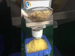 затир чеснока имбиря 2.2kw SS304/316 делая машину video