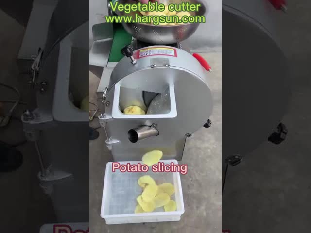 二重頭部の自動野菜打抜き機200-1000kg/h 2700W