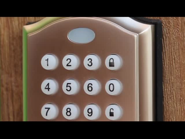 OEM Zinc Alloy Keyless Electronic Keypad Deadbolt Lock  Multicolor