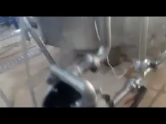 FDA Pneumatic Diaphragm Pump For Food Industry Tomato Sauce