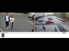 оптически камера купола скорости сети 33x для статистики идентификации человеческого лица video