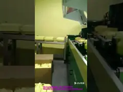 Multicolor принтер плоского экрана для плоских ведер video