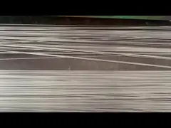 ASTM A269 TP304 TP304L TP316L Roestvrij staal metalen capillaire buis voor medisch apparaat