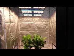 BAVA Far Red 1000W HPS LM301H SAMSUNG Quantum Board V3