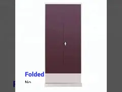 Свет - шкафы шкафа металла серой двойной двери электростатические video