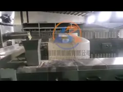 Машина для изготовления искусственного риса с экструзией с двумя винтами 350 кг/ч video