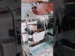 Automatic Noodles Making Machine