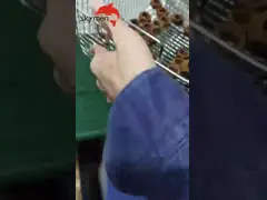 SUS304 180W Digital Benchtop Ultrasonic Cleaner 1mm Tank For Jewelry Parts