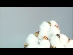 Изготовленное на заказ печатая волокно 100% полиэстер футболок логотипа быстрое суша video