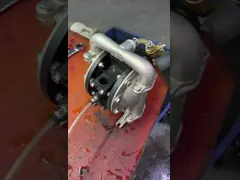 Stainless Steel Positive Displacement Diaphragm Pump Non Leakage 192 L/Min