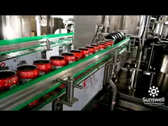 Craft Can Beer Washing Filling Capping Machine sunswell