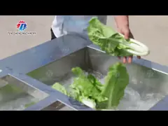 Оборудование пузыря стиральной машины фрукта и овоща 2000KG/H моя video