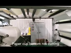 Экологически чистый PE покрытый бумажный рулон с индивидуальным размером и печатью video