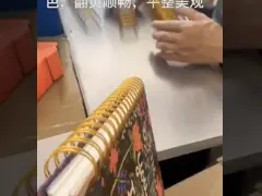 Изготовленный на заказ цвет 19mm 3/4 вязка провода o, соответствующая для календаря тетради video