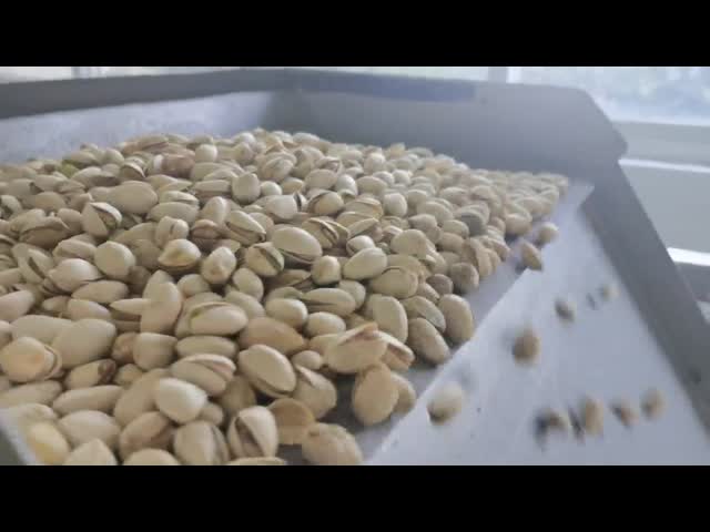 управление короткозамкнутого витка сортировщицы цвета пояса 500kg/H для сломленного стекла видео