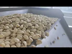 управление короткозамкнутого витка сортировщицы цвета пояса 500kg/H для сломленного стекла video