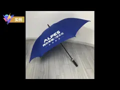 Зонтик проблескового света СИД TUV Handheld ясный POE video