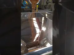 Маслообразная чокнутая машина точильщика порошка Ss304 50 до 500 Kg в семя льна Hr video