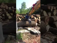 Chainsaw Mini Hidrolik Kayu Grapple Excavator Attachment
