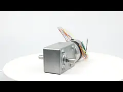 ворота Turbo Bldc турникета 27rpm зацепили мотор, безщеточный электрический двигатель Dc video