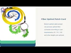 96 Cores 72 Cores Fiber Optical Patch Cord Single Multi Mode SC/APC LSZH