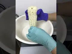 Напудрите перчатки работы свободного нитрила электроники пищевой промышленности общего назначения video