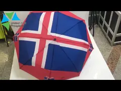 Windproof зонтик кармана стеклоткани 5 складывая мини со случаем ЕВА video