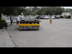 Вагонетка переноса батареи мотора DC 5 тяжелого груза Stepless тонн регулировать скорости video