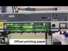 Biodegradable PE Coated Disposable Coffee Sleeves Offset Printing