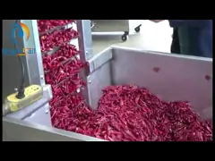 Емкость индустрии продтовара 300kg машины жарить в духовке непрерывного производства 20kw чокнутая video