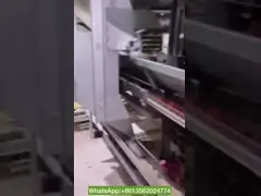 обрабатывающее оборудование яйца 10cm, клетки цыпленка класть яйца мотора 1.5kw Сименс video